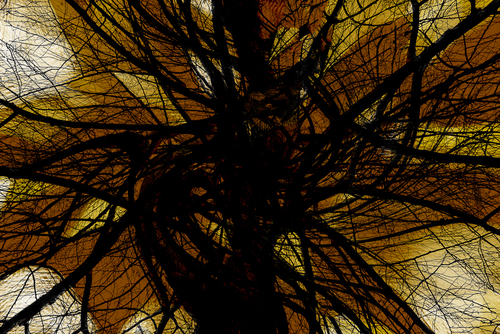 Autumn Swirl