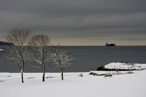 Winter