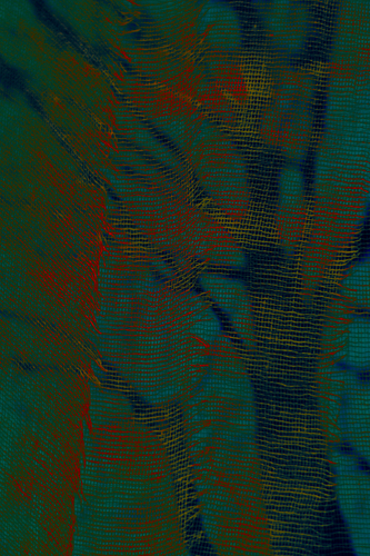 Winter Trees