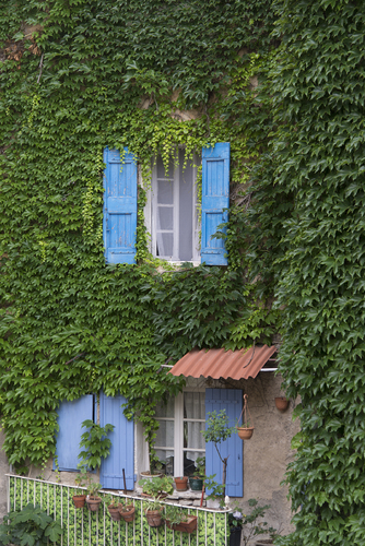 Bonnieux Ivy House