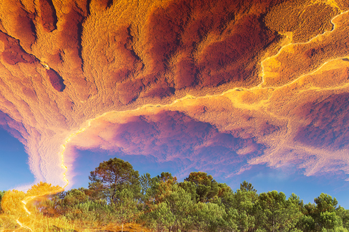 Reflections of Fire