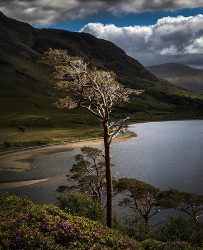 Spotlight at Doo Lough