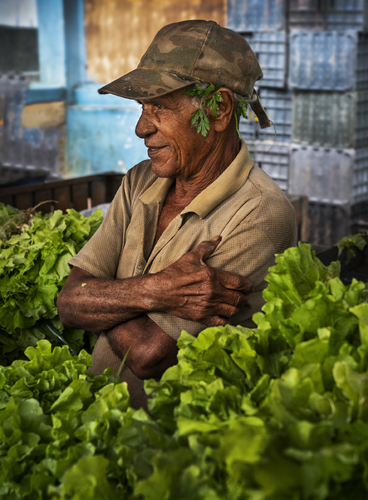Vegetable Vendor Havana Cuba