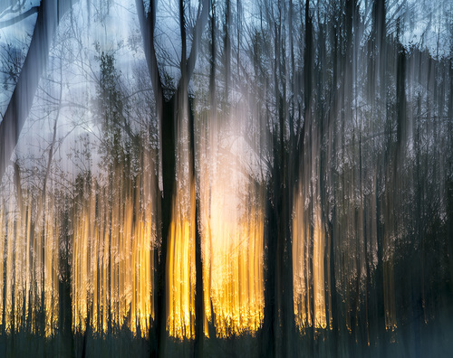 Sunset Fire