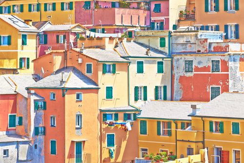 Countryside of Colors - Italy