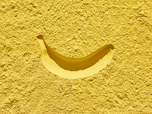 Fruitless Bananna 