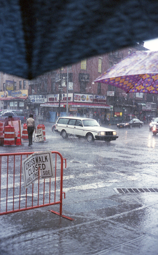 Brooklyn Rain