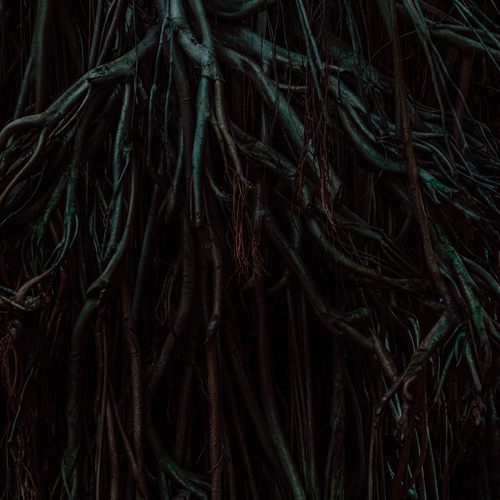 Gorgon 1