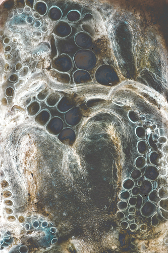 Stasis 02