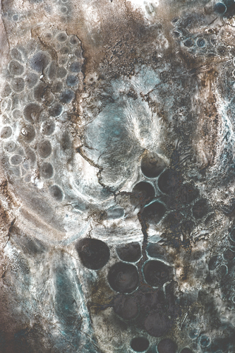 Stasis No. 1