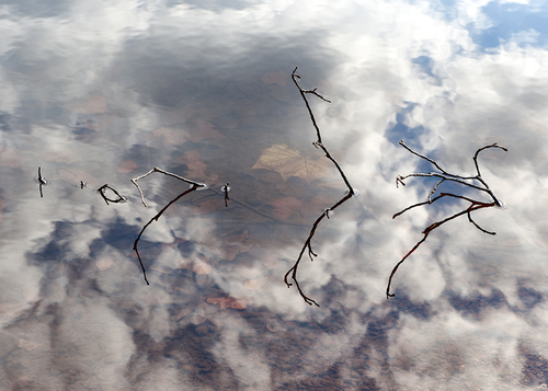 Beneath the Surface