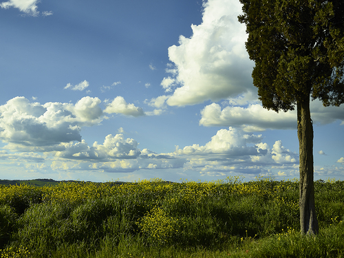 Tuscany, Italy