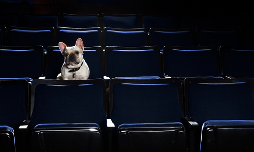 Theatre Critic