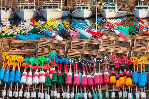 Bright Buoys