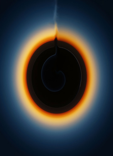 Embryo