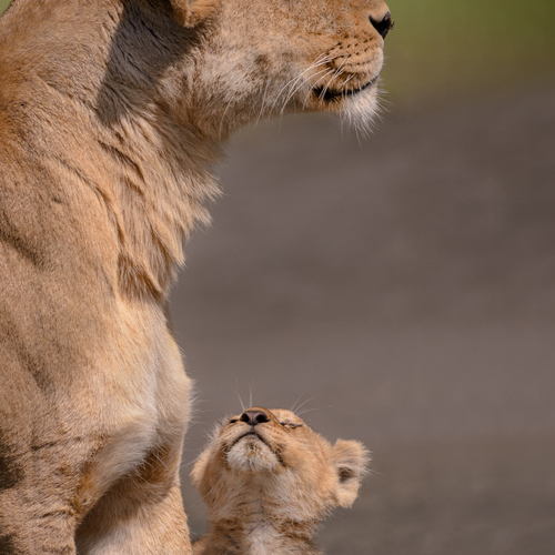 Mum, Just a Kiss, Please!