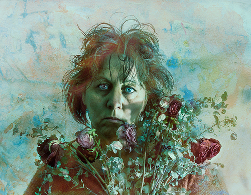 Wilted Rose