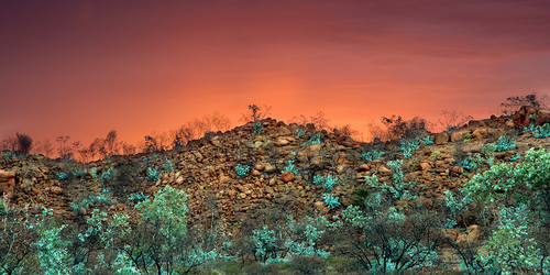 Burnt Country 