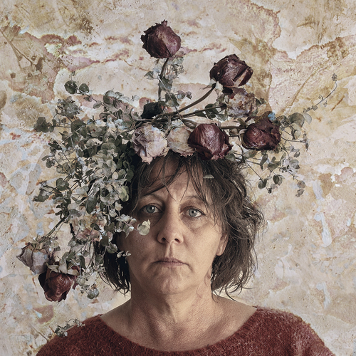Wilted Rose