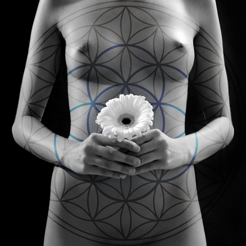 Flower of Life