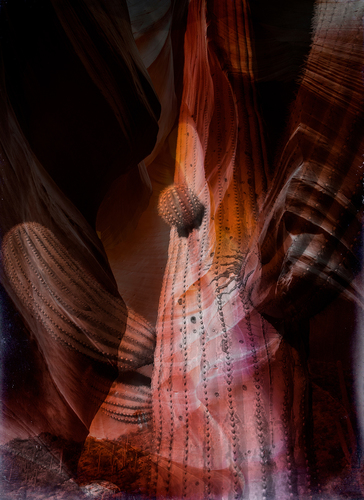 Desert Artifacts
