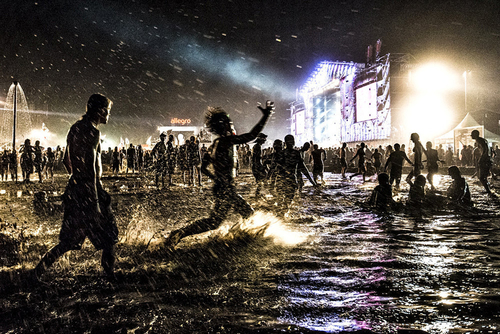 Woodstock Cosmos