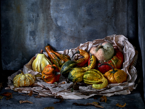 Winter Gourds