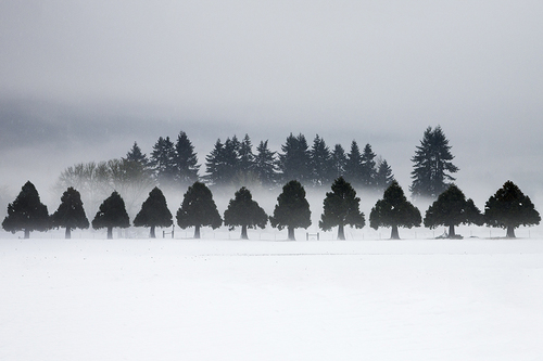 Winter Melt #7