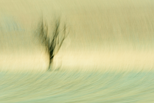 Solitary
