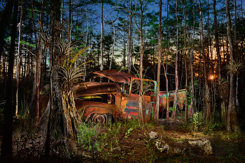 Ford V8 in the cypress