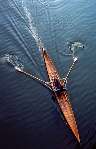 Single Scull Morning