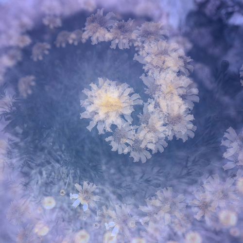 Weiling_Kwa-Color Delight #1
