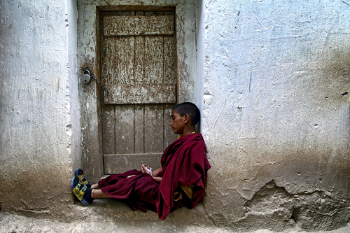 The Lonely Lama