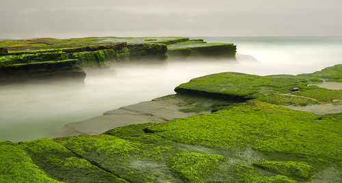 Turimetta