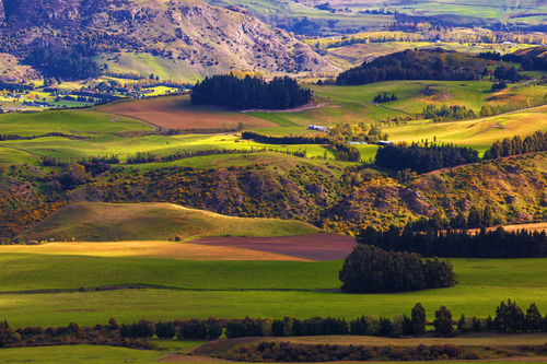 Speargrass Flat