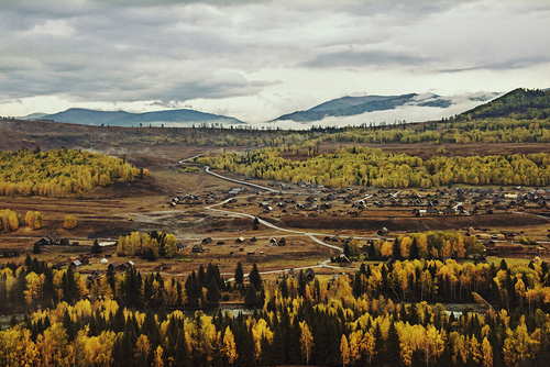 Autumn In Xinjiang