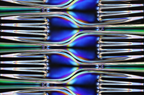Fork Study