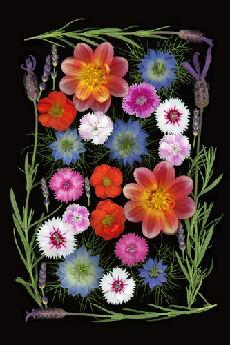 Floral Art