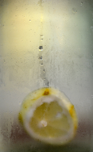 A Slice of Lemon