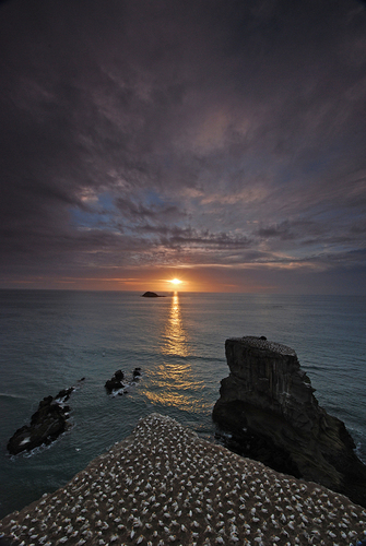 The Setting Sun