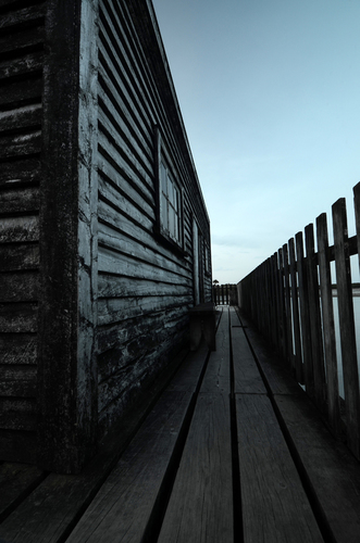 Pathway to the Past