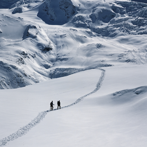 Alpinwalking