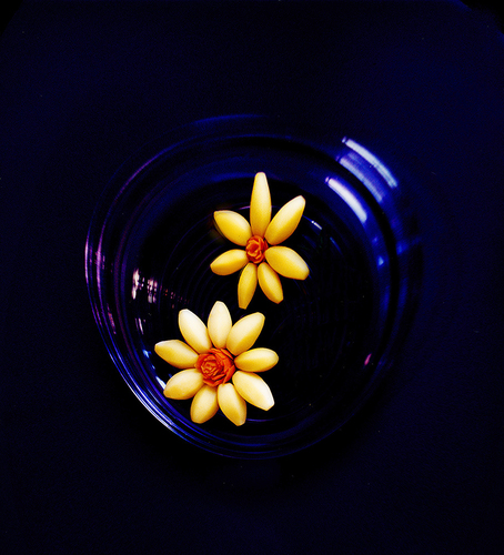 Fleur Potato