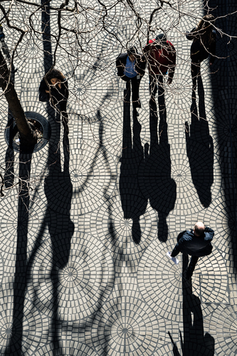 The Walkers