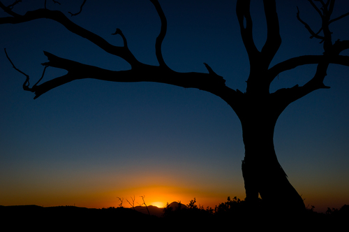 Mesa Verde Sunset