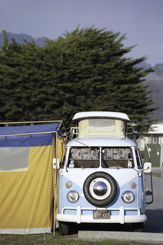 Flower Power Americana (Big Sur)