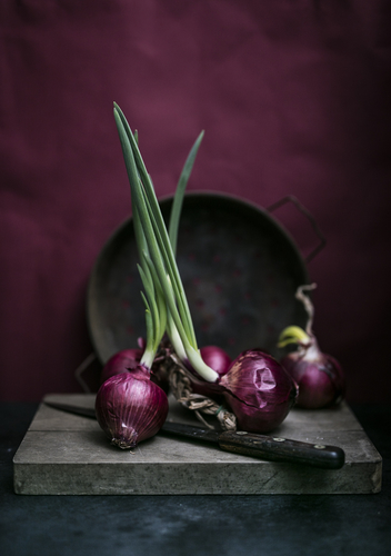 Onions Growing