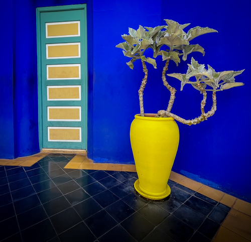 Yellow Urn