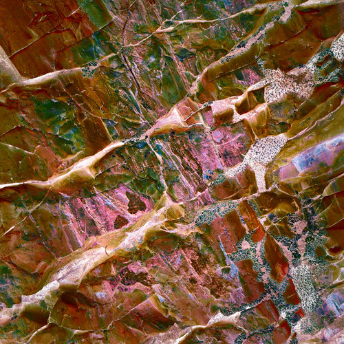 Petrified Wood Utah