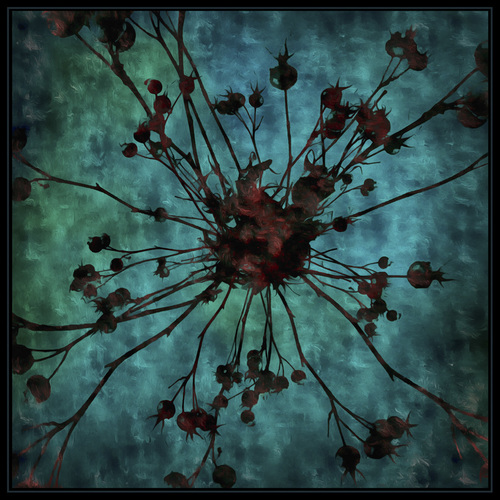Twisted Thoughts